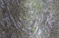 Wanstead fibreglass roof work